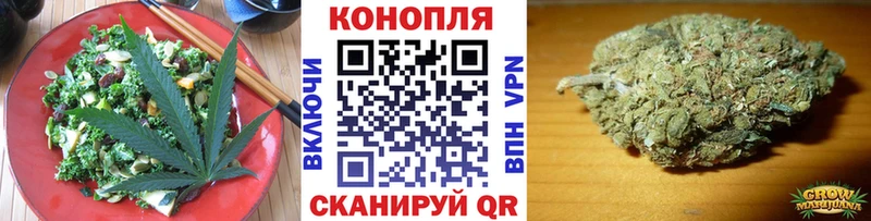 mega ONION  Злынка  Еда ТГК конопля  где найти наркотики 